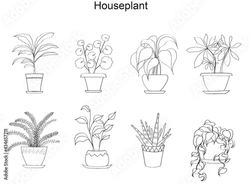 A set of house plants. Black and white graphics. Illustration.