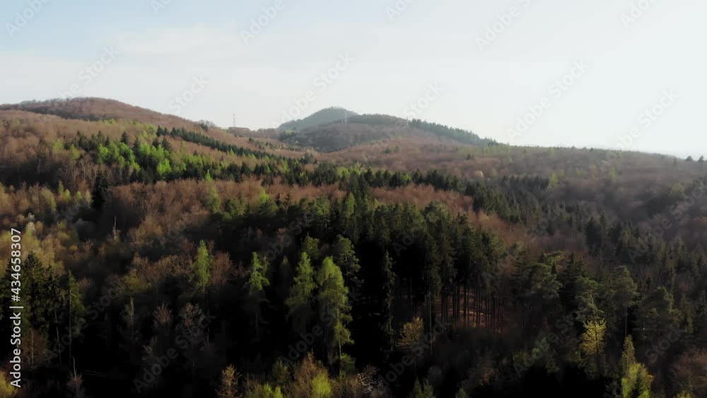 Aerial view Magical Mountain Forest With The Trees Growing On Hills in Summer
Aerial view Magical Mountain Forest With The Trees Growing On Hills in Summer