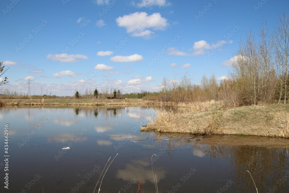 Obraz premium Calm Day, Pylypow Wetlands, Edmonton, Alberta