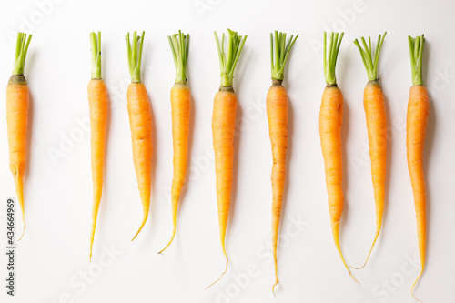 Fresh carrots line up on white background.