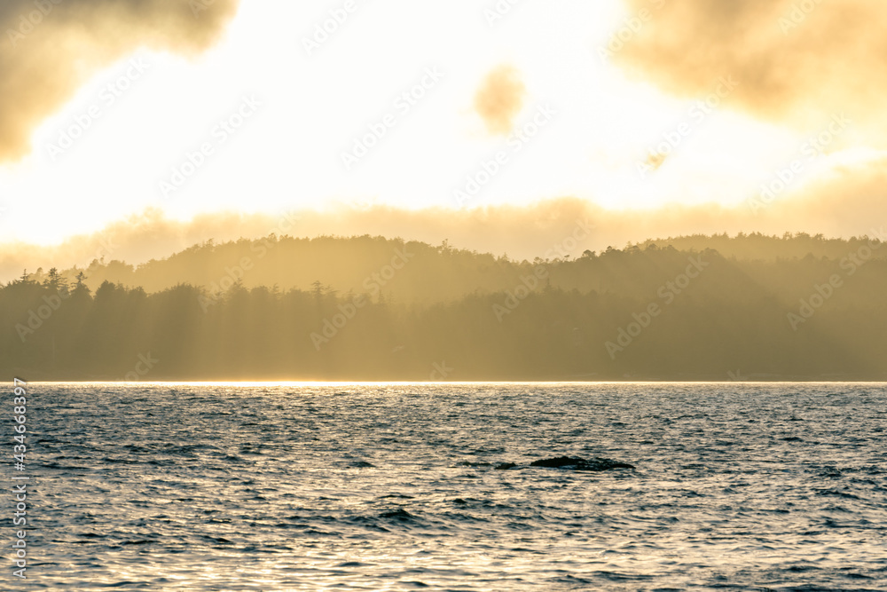 Golden Hour Tofino