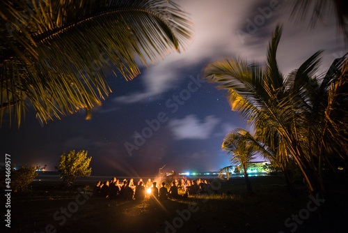 palm trees at night