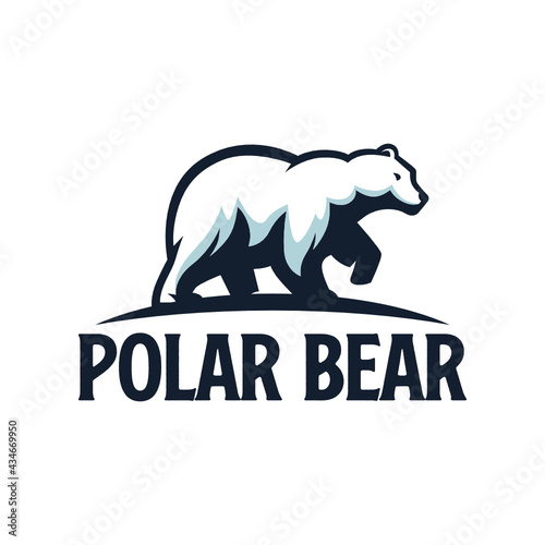 Bear Logo Design Template Inspiration, Vector Illustration