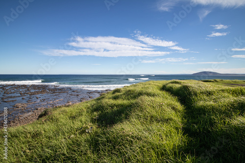 Ocean coastline with grassy fields and clouds on a sunny day.