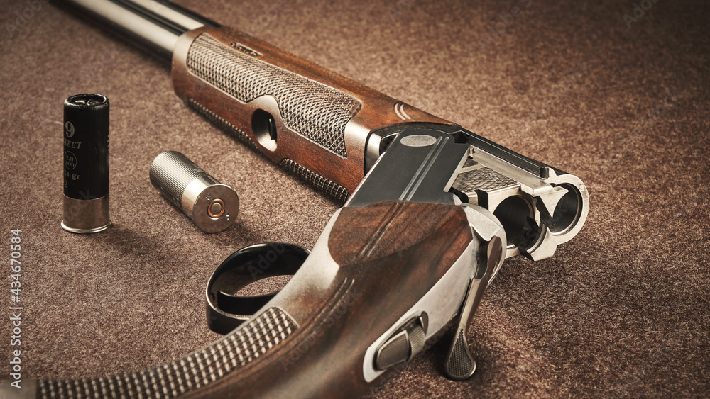 Obraz premium hunting rifle and cartridges of 12 gauge