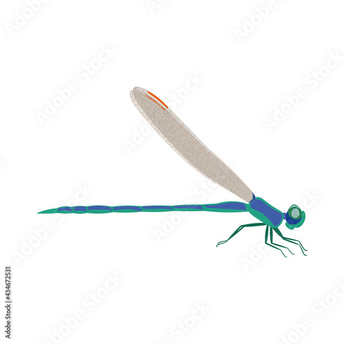 A beautiful blue-green dragonfly with transparent wings, red spots on them and large eyes. Summer colored flying insect side view. Vector illustration isolated on white background.