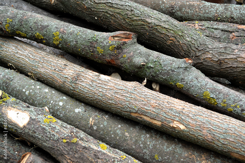 Preparations for the heating season in the village. Firewood in the yard. Photo of a log Preparations for the heating season in the village. Firewood in the yard. Photo of a log
