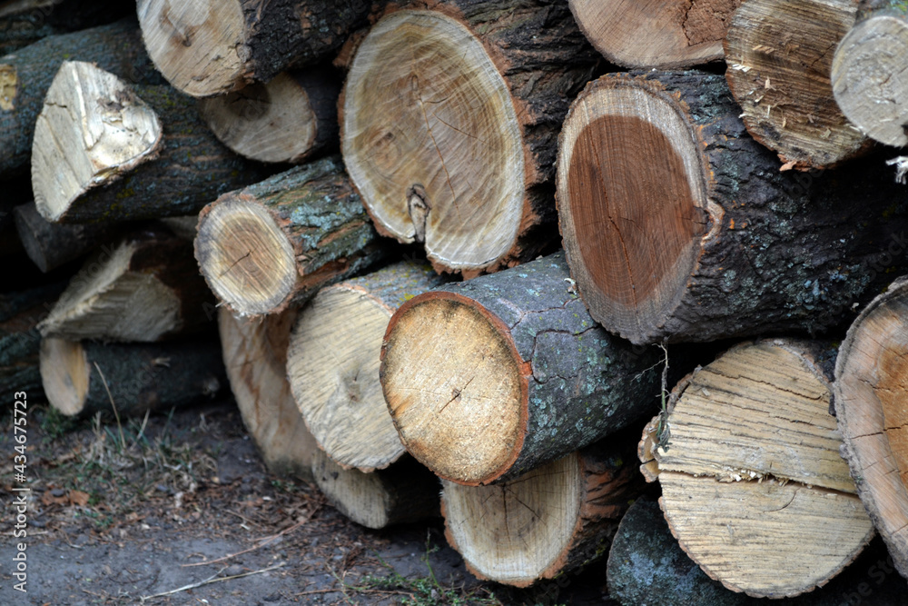 Firewood in the yard. Preparations for the heating season in the village. Photo of a log. Texture. Natural Firewood in the yard. Preparations for the heating season in the village. Photo of a log. Texture. Natural