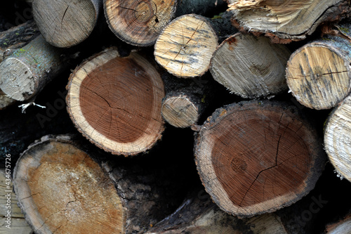 Firewood in the yard. Preparations for the heating season in the village. Photo of a log. Texture of a tree. Natural
