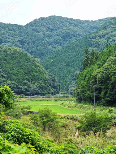 広島県三次市、三次田んぼ森山。