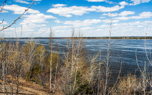 trees that open their leaves in spring  on the bank of the Volga