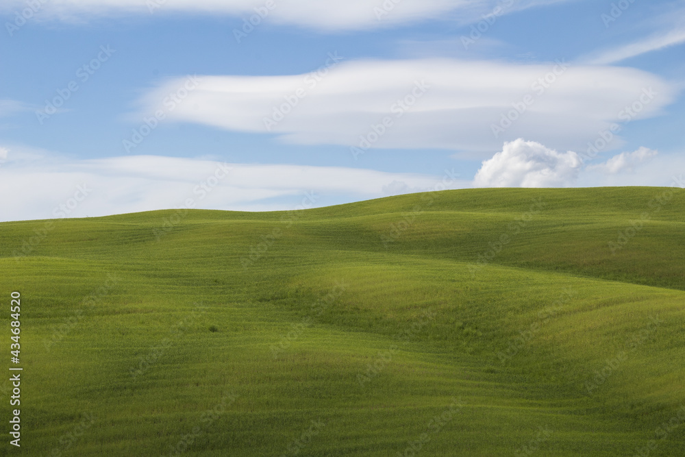 Fototapeta premium Colline Toscane