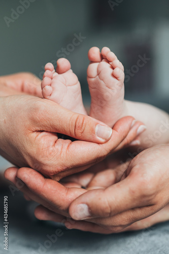Wallpaper Mural Newborn baby feet in parents hands Torontodigital.ca