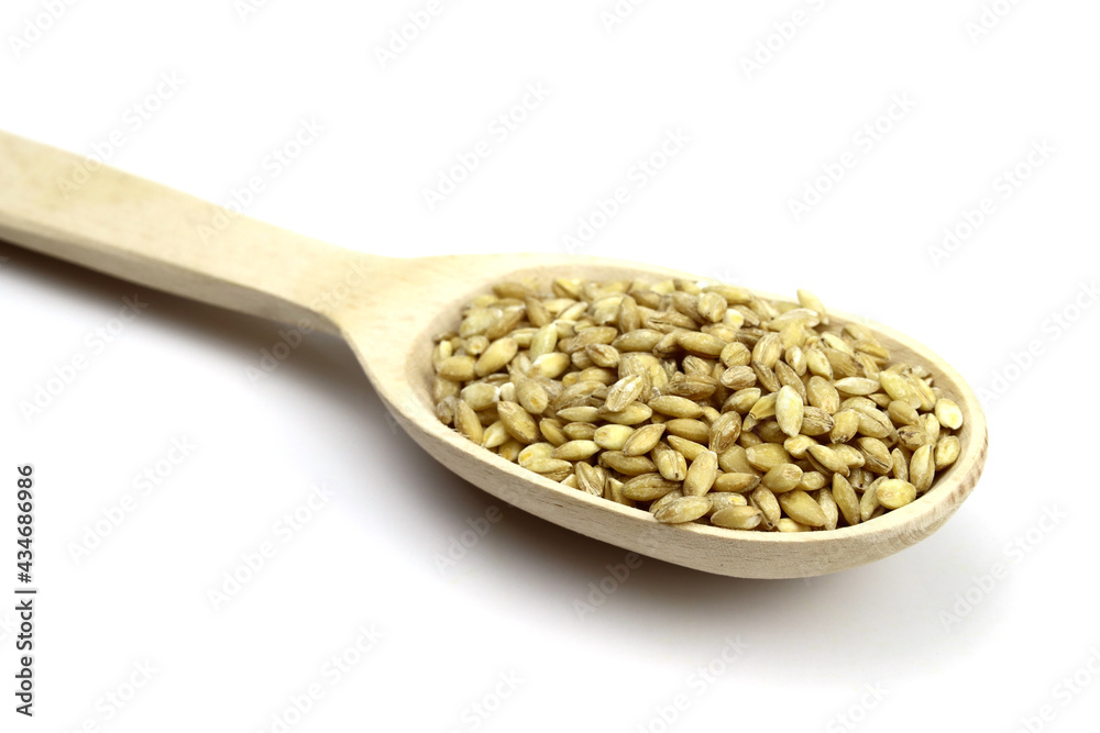 pearl barley in a wooden spoon isolated on white background pearl barley in a wooden spoon isolated on white background