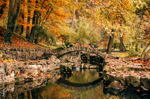 Beautiful autumn park with yellow leaves fallen. Beautiful autumn background landscape with stone bridge across the stream. Colorful foliage falling. Selective focus