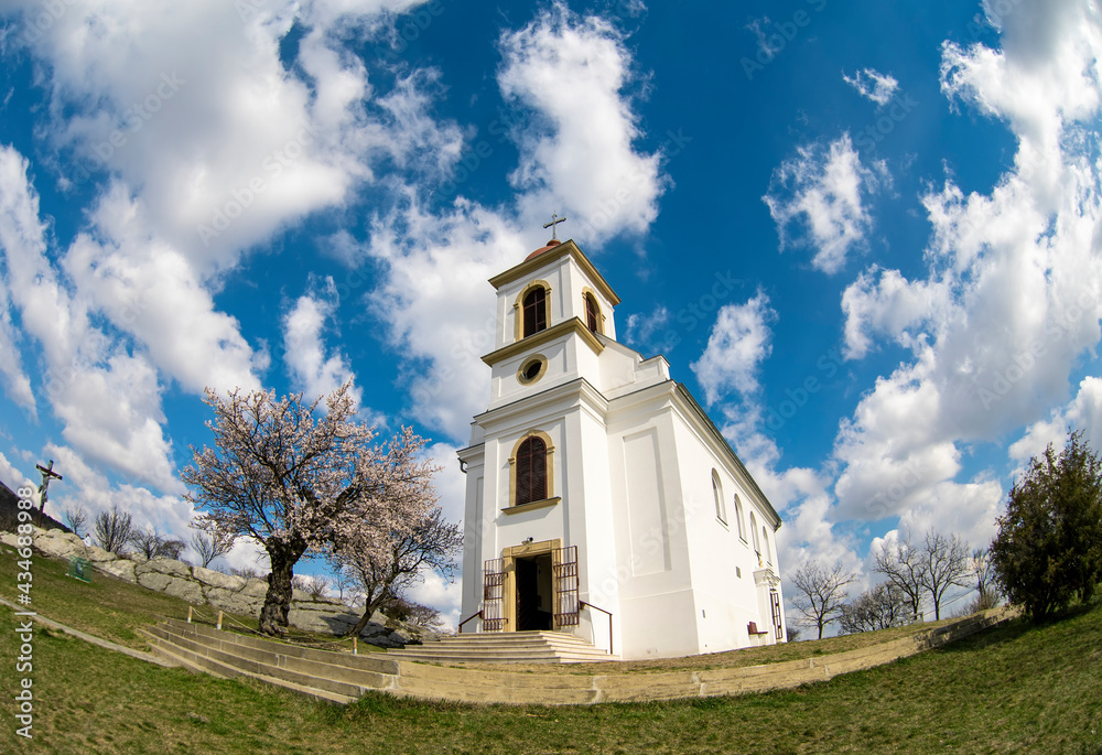 White christian chapel in Pecs with blooming almond tree in spring