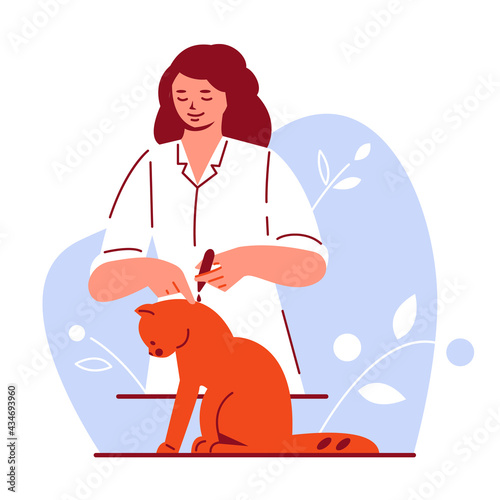 Woman doctor drips drops to the cat from worms, parasites. Pet care treatment. Vector illustration in flat cartoon style.