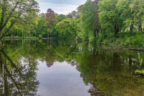 Green public park with pond in Poland. © Robson90