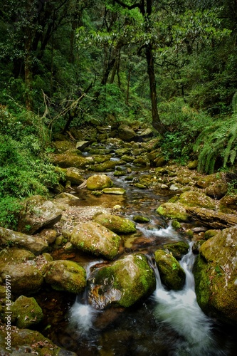 waterfall in the forest