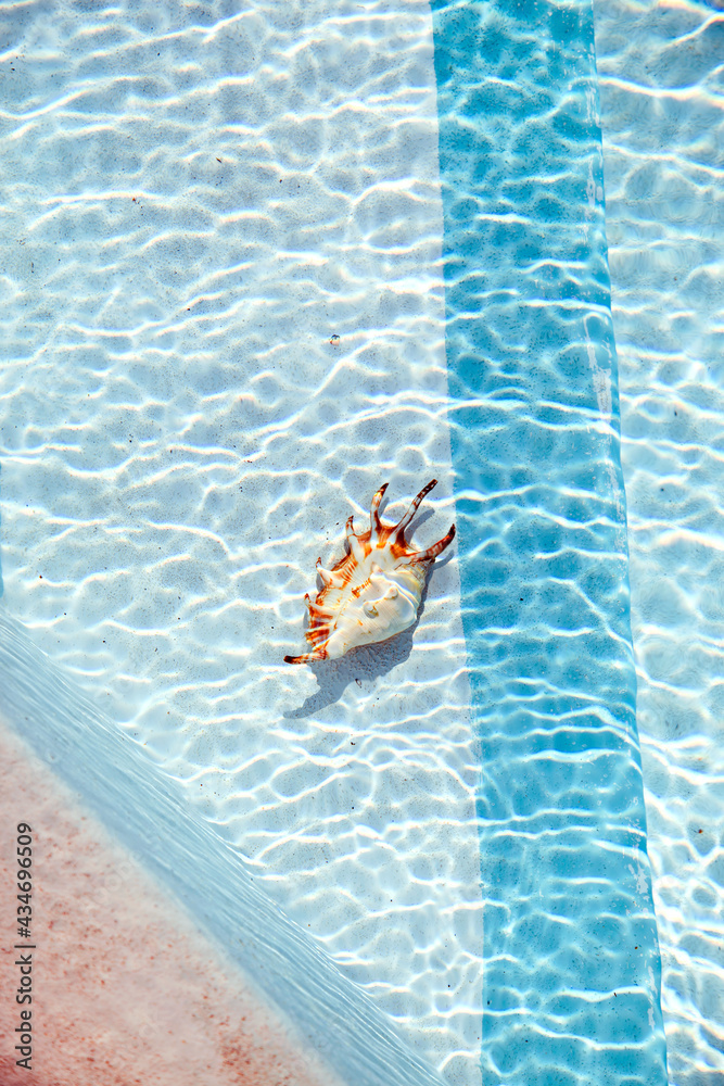 Seashell underwater on the bottom of swimming pool, ripples on water