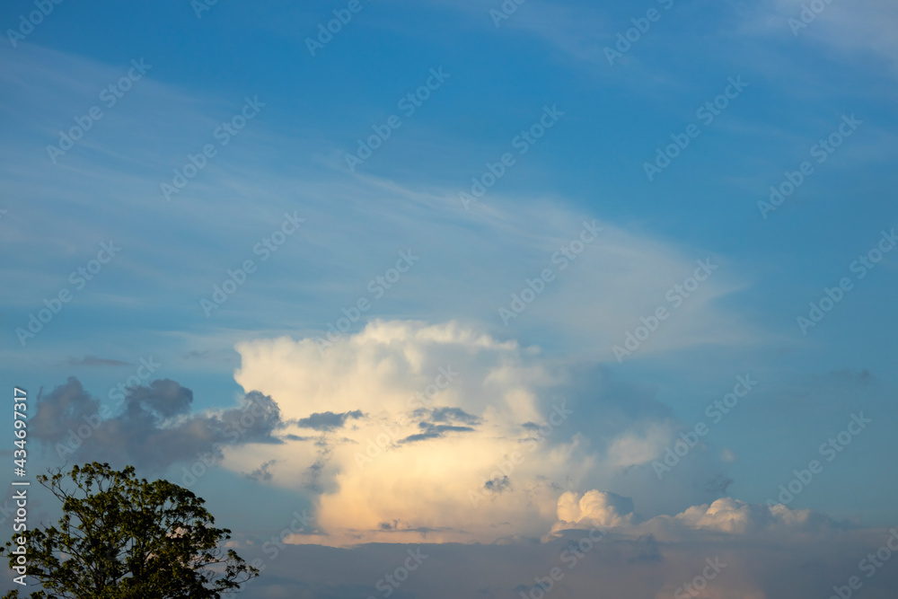 Blue sky with anvil shaped cumulonimbus storm and rain cloud in the background with a similar shaped tree top crown in the foreground. Climate and weather conditions. Scientific nature concept. Blue sky with anvil shaped cumulonimbus storm and rain cloud in the background with a similar shaped tree top crown in the foreground. Climate and weather conditions. Scientific nature concept.