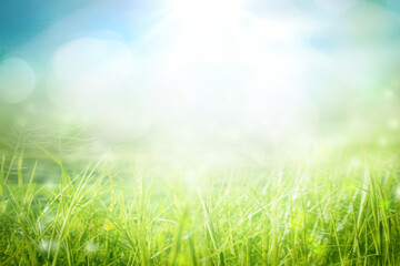 World environment day concept: green grass and blue sky abstract background with bokeh