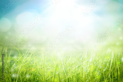 Fototapeta Naklejka Na Ścianę i Meble -  World environment day concept: green grass and blue sky abstract background with bokeh