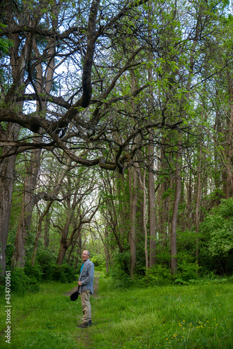 Senior man on wooded hiking trail turns toward camera