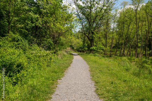 Centered gravel path in green grass leads into woods