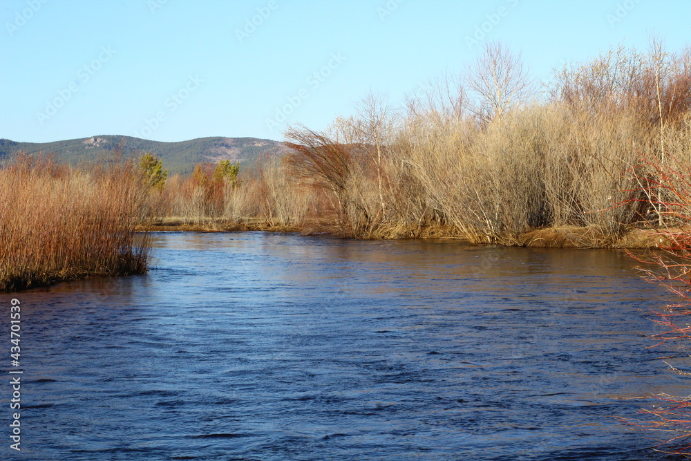 river in the autumn river in the autumn