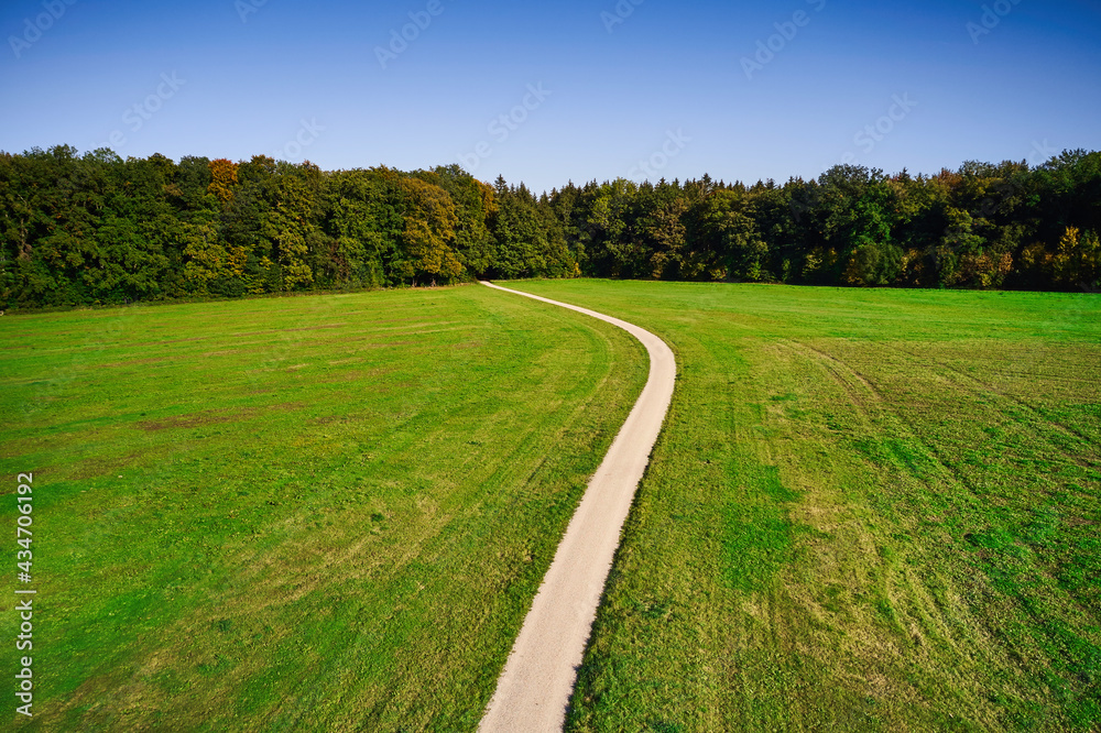 a view of a road leading into a forest through a lush green lawn, near Munich, Bavaria, Germany, Europe