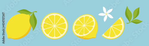 vector illustrations of lemons for banners, cards, flyers, social media wallpapers, etc.