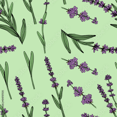lavender seamless pattern. Vector illustration in vintage engraved style, background for fabric, textile, wrapping paper, sketchbook etc