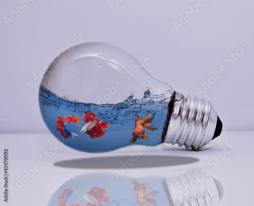 Bulb Aquarium