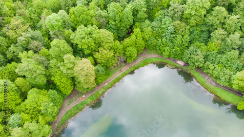 Aerial view of wild forest lake