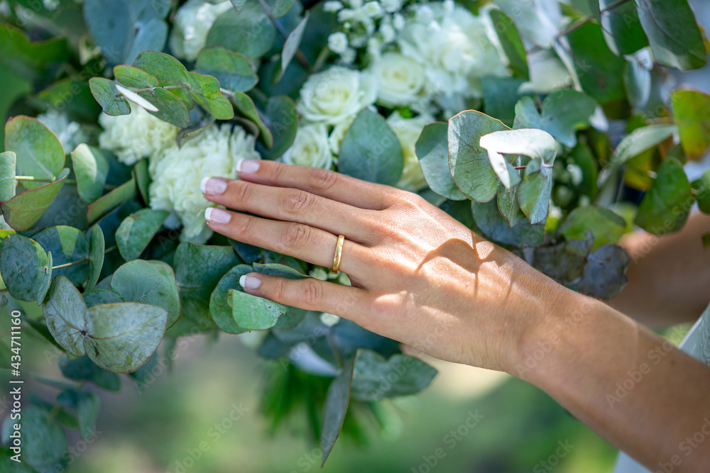 hands holding a flower