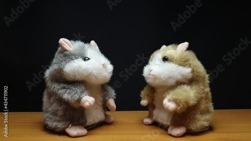 Two hamsters are losing bitcoin