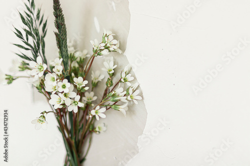 Fototapeta Naklejka Na Ścianę i Meble -  wildflowers on a white wall.