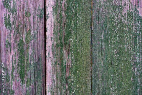 Natural wood background. The texture of the shabby weathered green paited board. © Trik