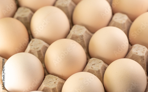 The eggs are in the cells