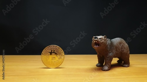 The bear comes to bitcoin