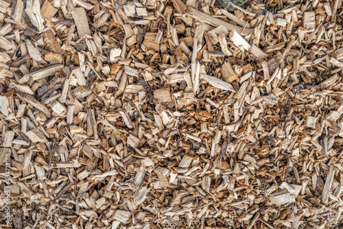 Obraz na płótnie Closeup of a large heap of wood chips after felling some tall poplar trees. w salonie