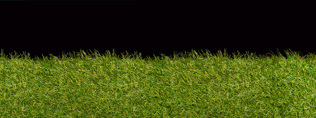 Green grass borders for decoration and covering on black background