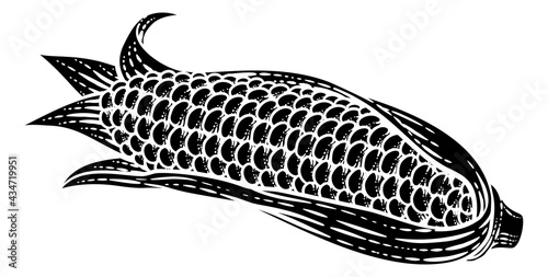 Corn Vegetable Vintage Woodcut Illustration