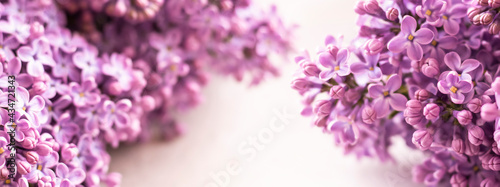 Beautiful floral spring bac...