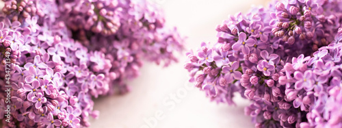 Beautiful floral spring bac...
