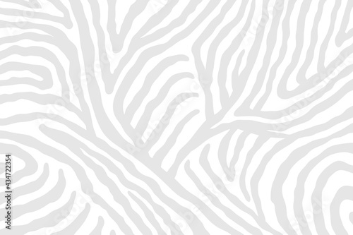 Vector abstract animalistic background. Freehand illustration of zebra skin print. © Anna