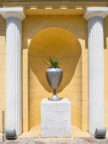 Vase with tropical plant on pedestal between two classic architectural columns. Decorative arch and niche in wall of building. Classicism. photo