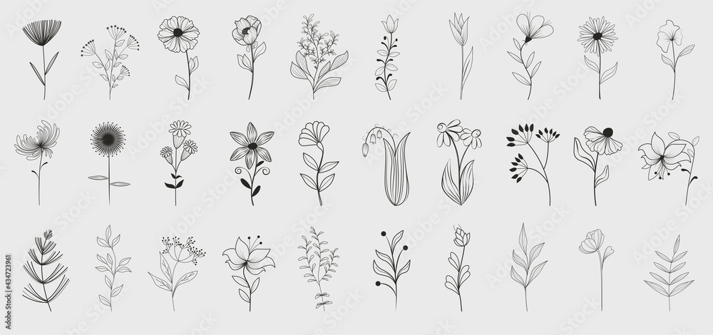 Bundle of detailed botanical drawings of blooming wild flowers. Black and white doodle blossom. Decorative floral elements set. Vector illustration 