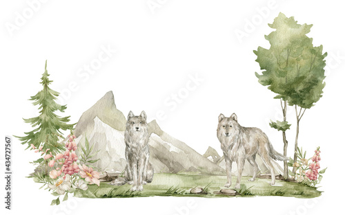 Watercolor forest landscape. Trees, mountains, fir-trees, wild animals. Grey wolf and field, meadow flowers. Summer woodland, nature scene, valley